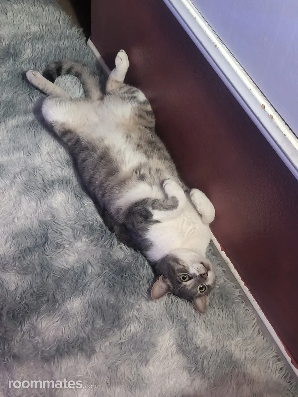 Profile photo 2 of 4