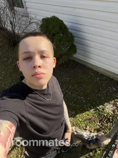 Roommate looking Laurel, MD, $900