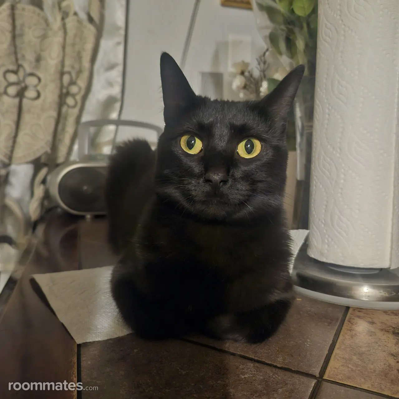 Profile photo 3 of 3