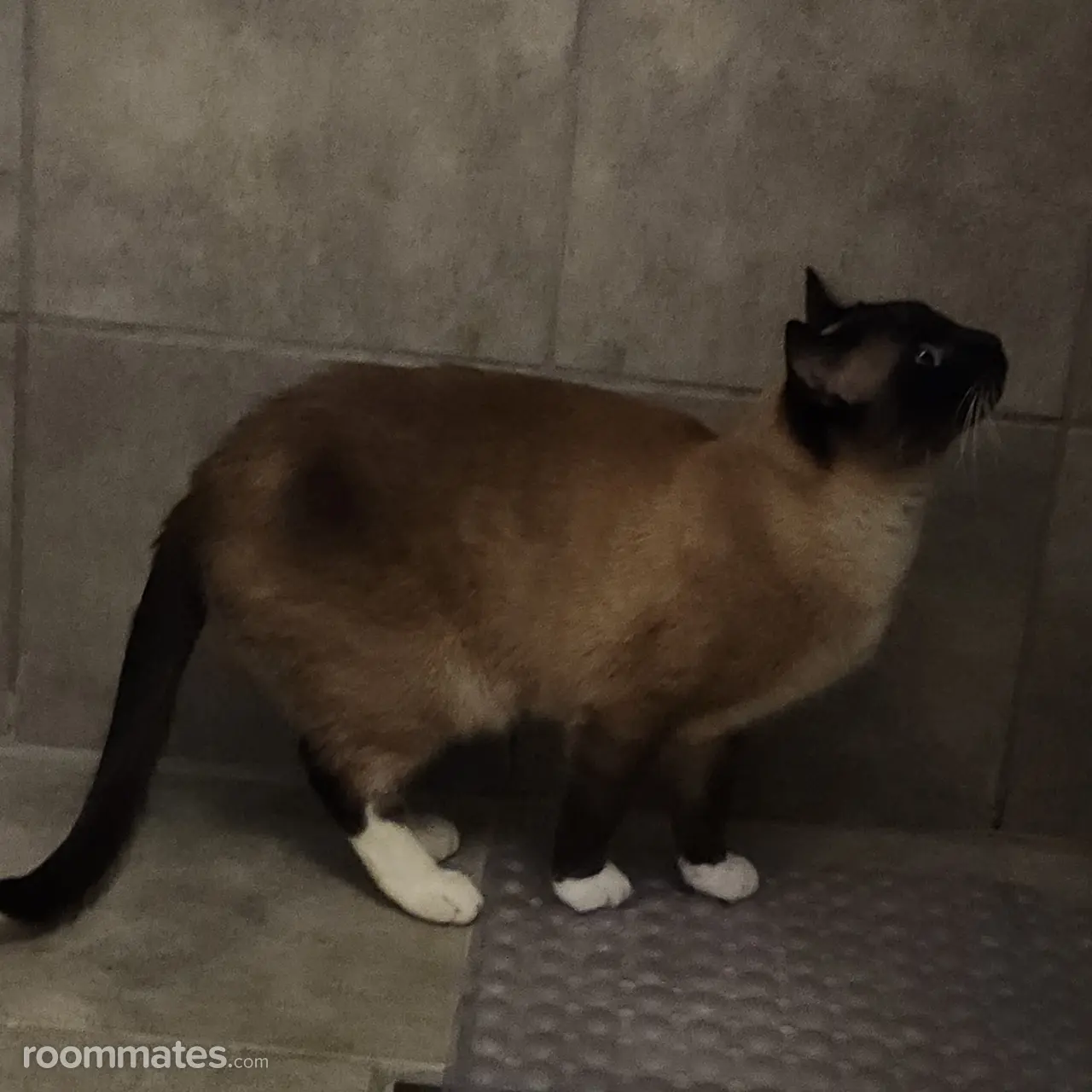 Profile photo 2 of 3