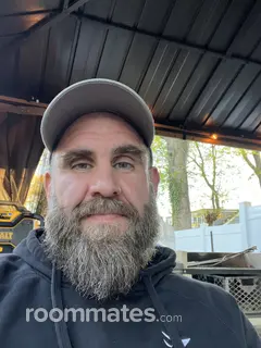 Roommate looking Falls Church, VA, $900