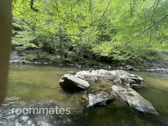 Room for rent in Asheville, NC $1250, house