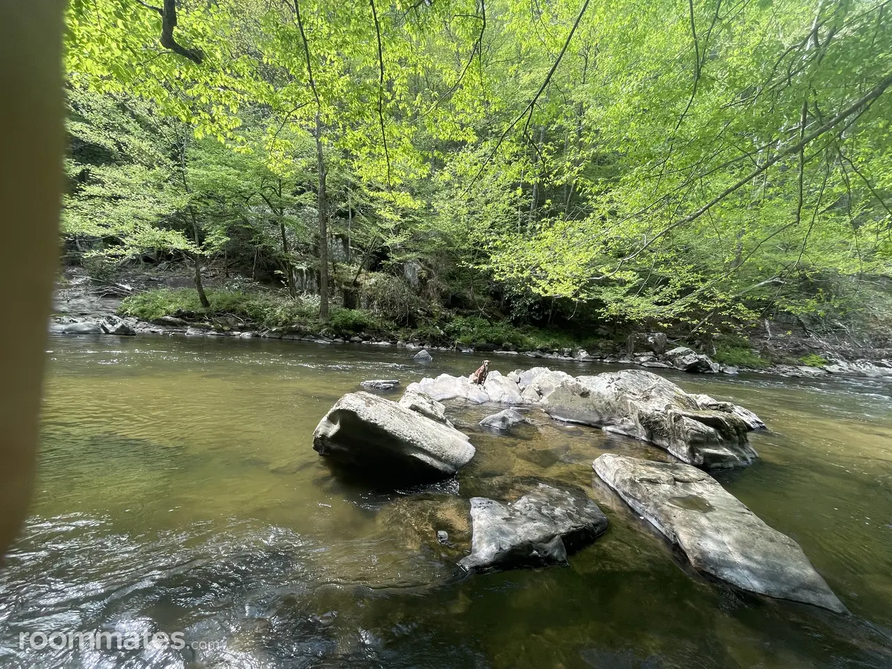 Profile photo 2 of 2