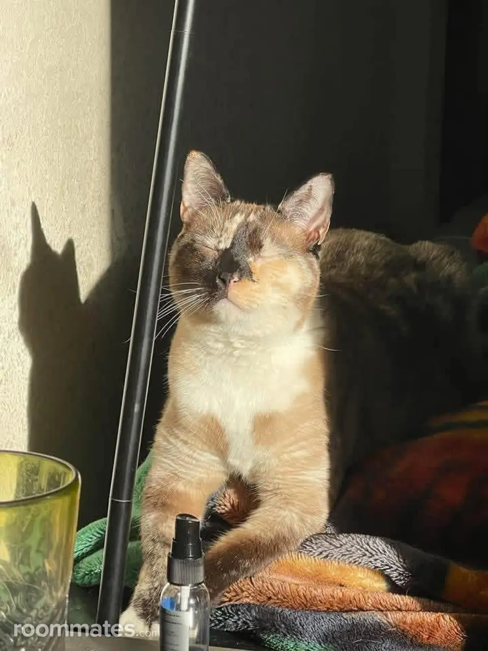 Profile photo 2 of 4