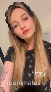 Roommate looking Chicago, IL, $1500