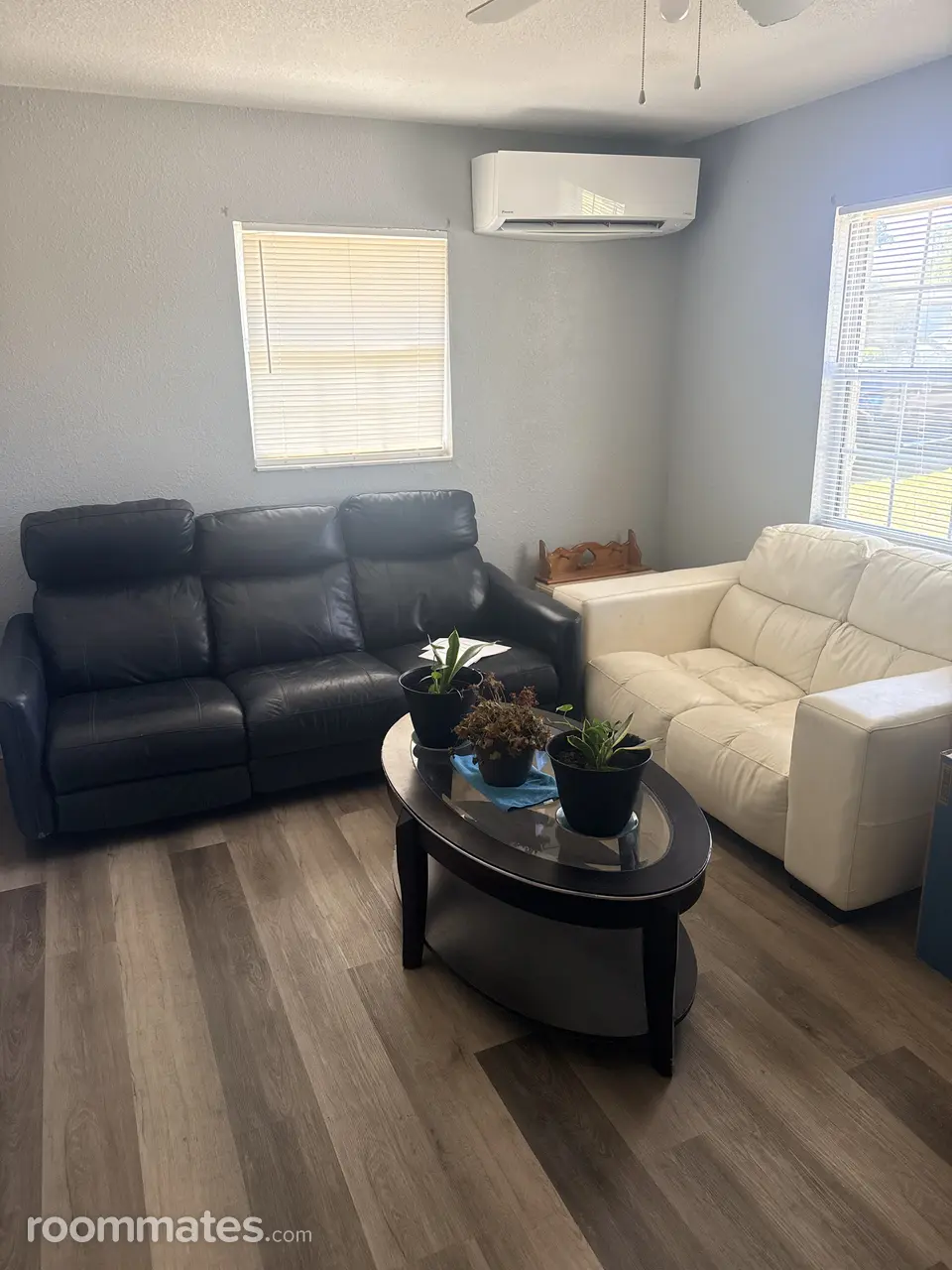 Profile photo 5 of 6