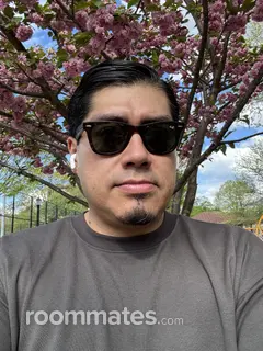 Roommate looking Brooklyn, NY, $1100