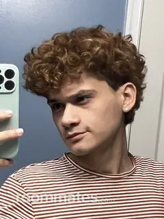 Roommate looking Herndon VA, $900