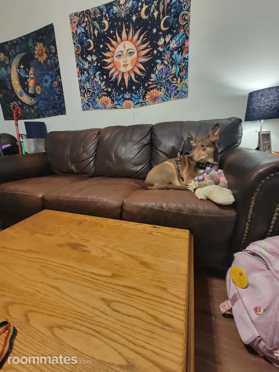 Profile photo 2 of 8