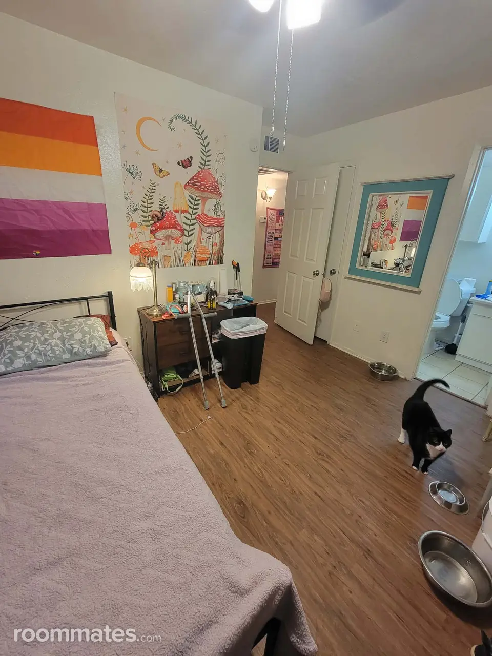 Profile photo 7 of 8