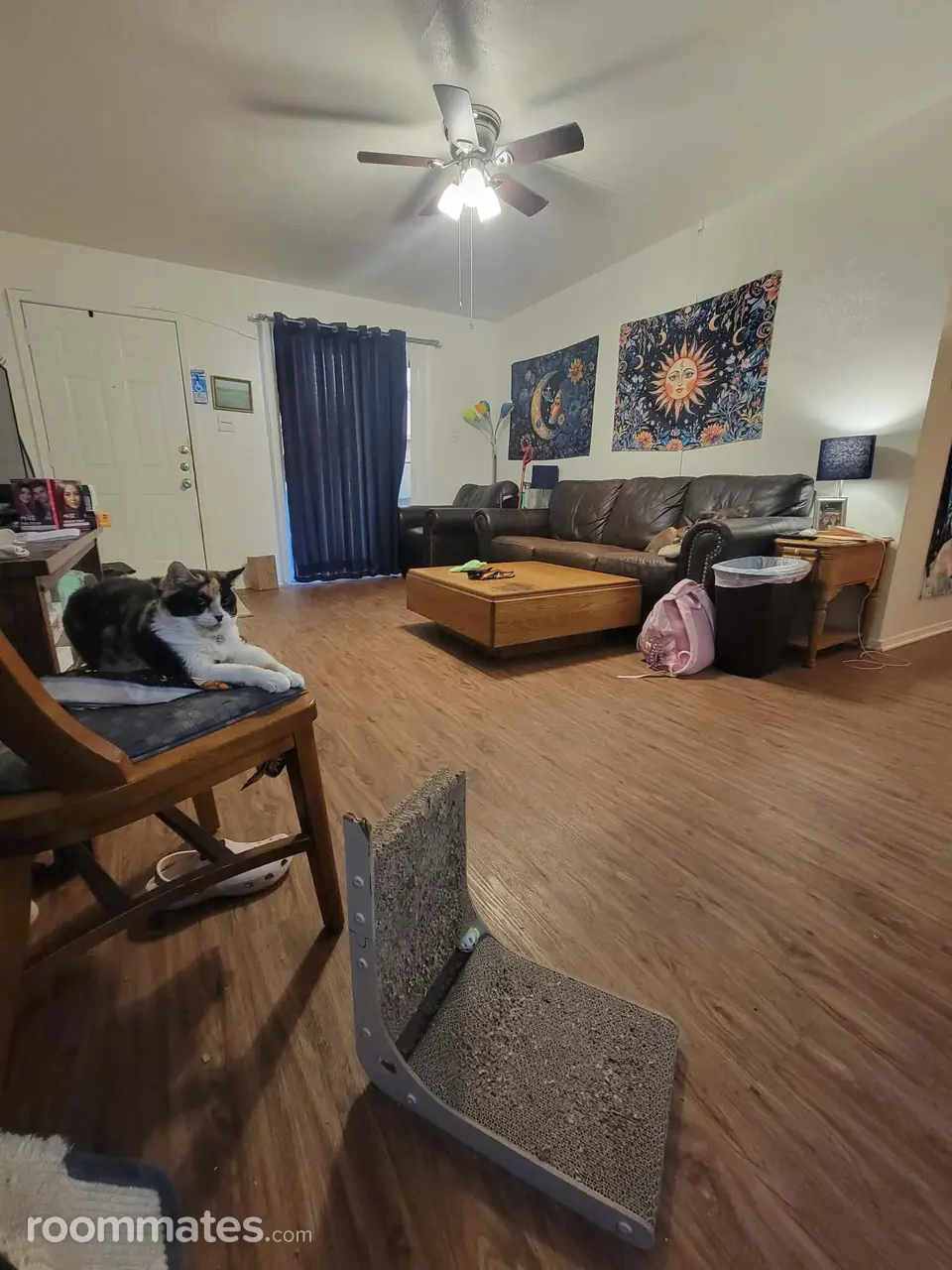 Profile photo 5 of 8