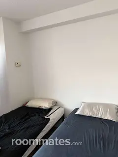 Room for rent in Roxbury, MA $500, apartment