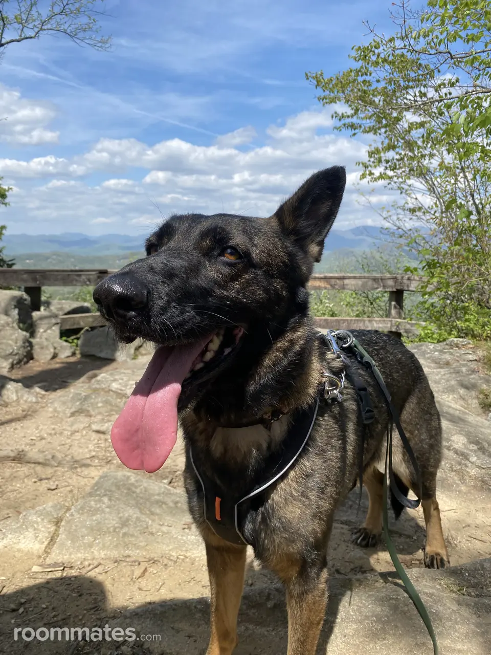 Profile photo 2 of 2