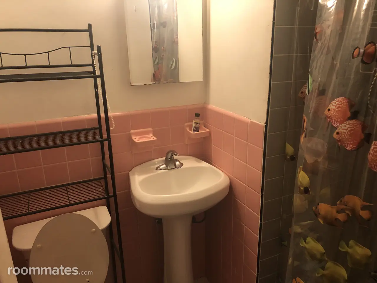 Profile photo 3 of 5