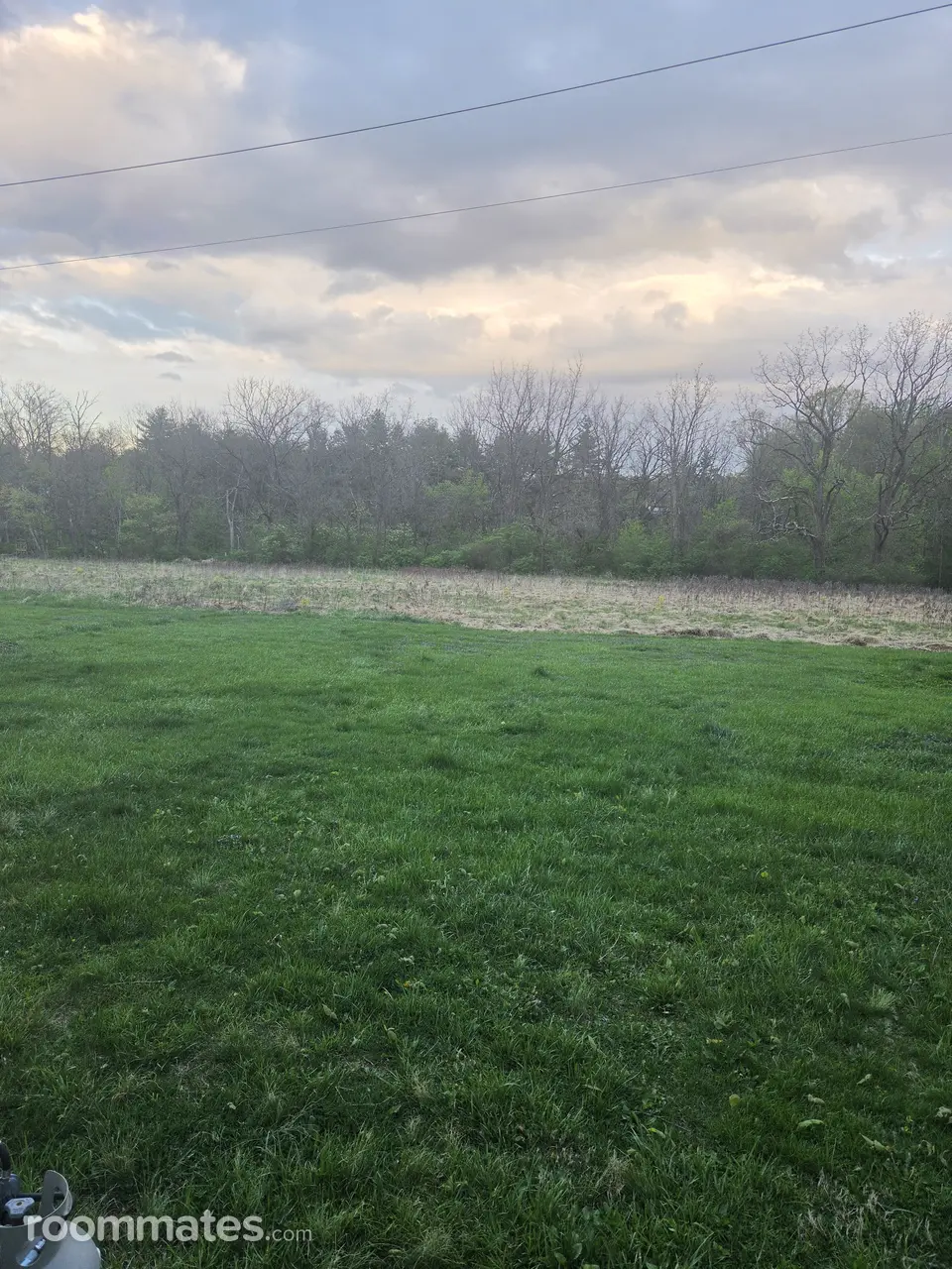 Profile photo 8 of 13