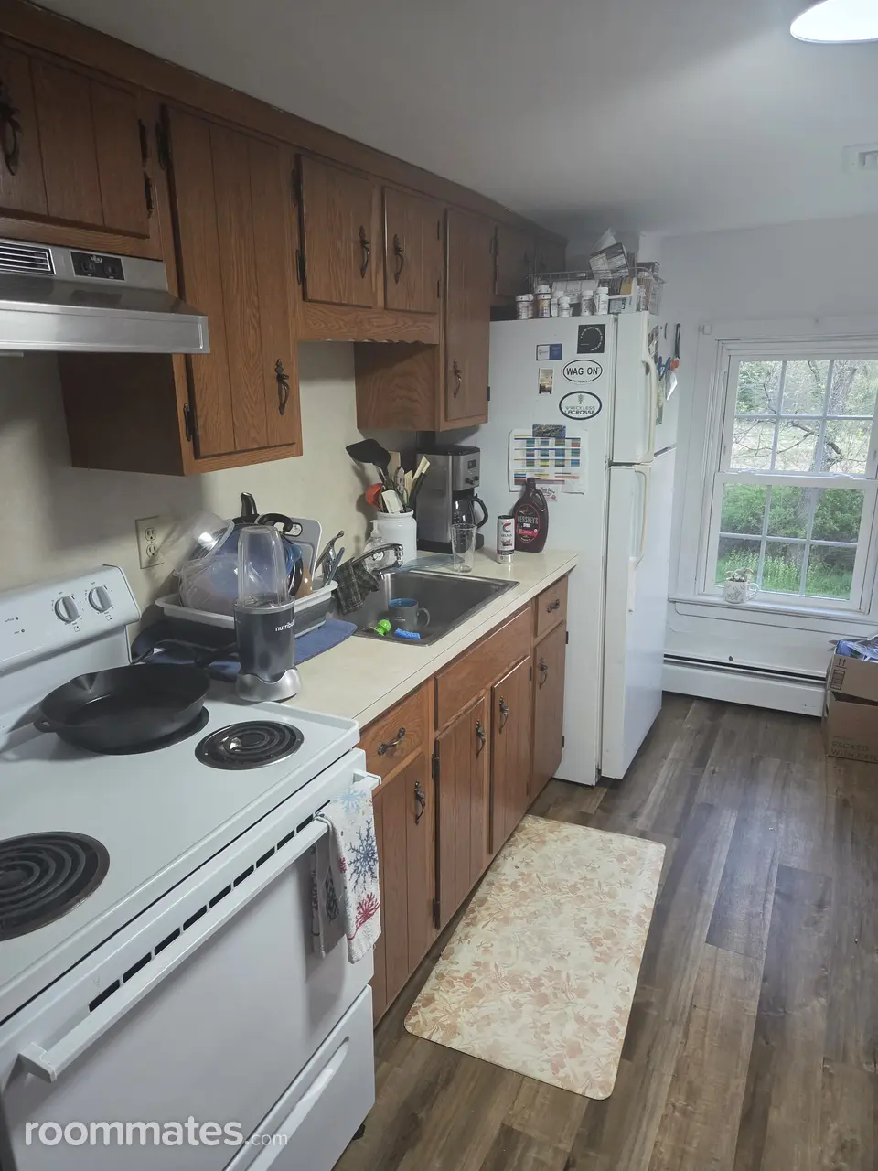 Profile photo 2 of 13