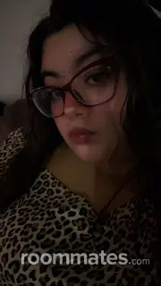 Roommate looking Mount Clemens, MI, $600