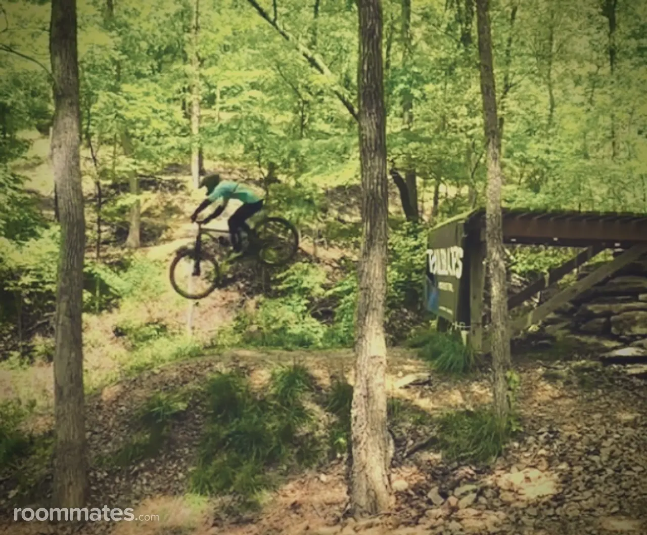 Profile photo 7 of 7