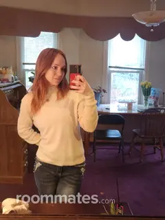 Roommate looking Orland Park, IL, $900