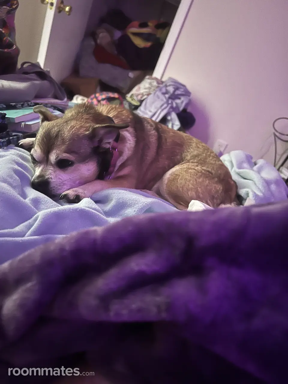 Profile photo 3 of 3