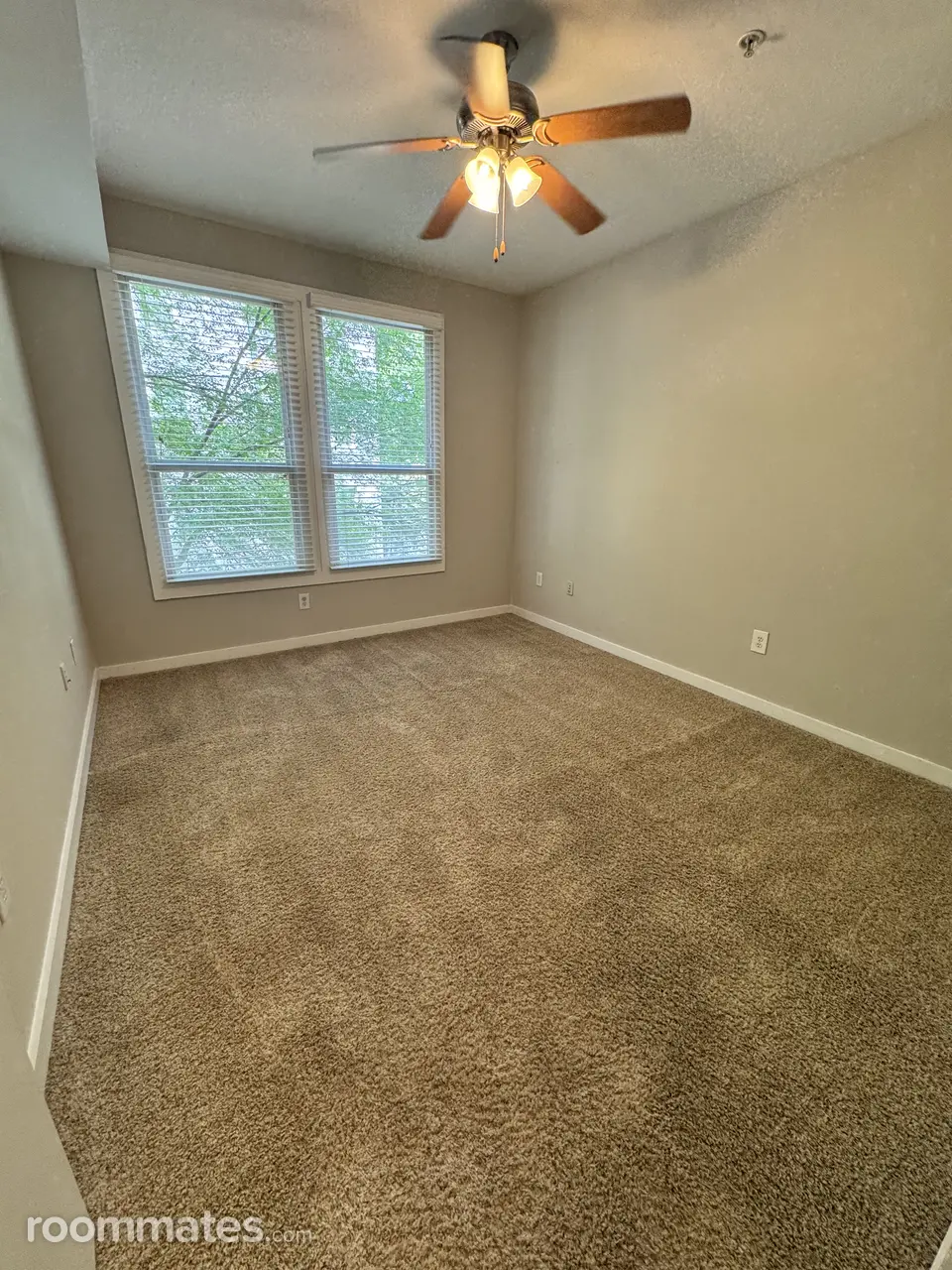 Profile photo 7 of 11