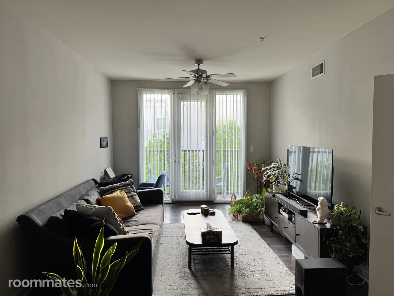 Profile photo 9 of 11