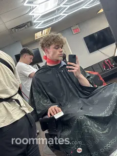 Roommate looking Greenville, MI, $700