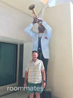 Roommate looking Northville, MI, $900