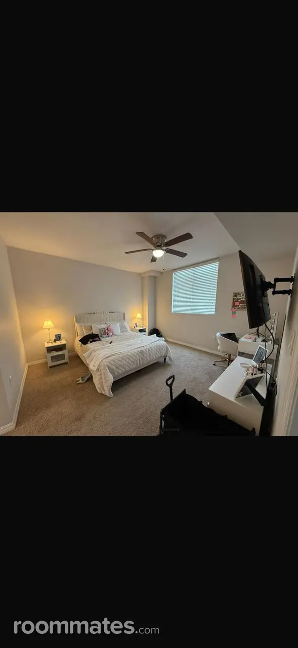 Profile photo 3 of 11