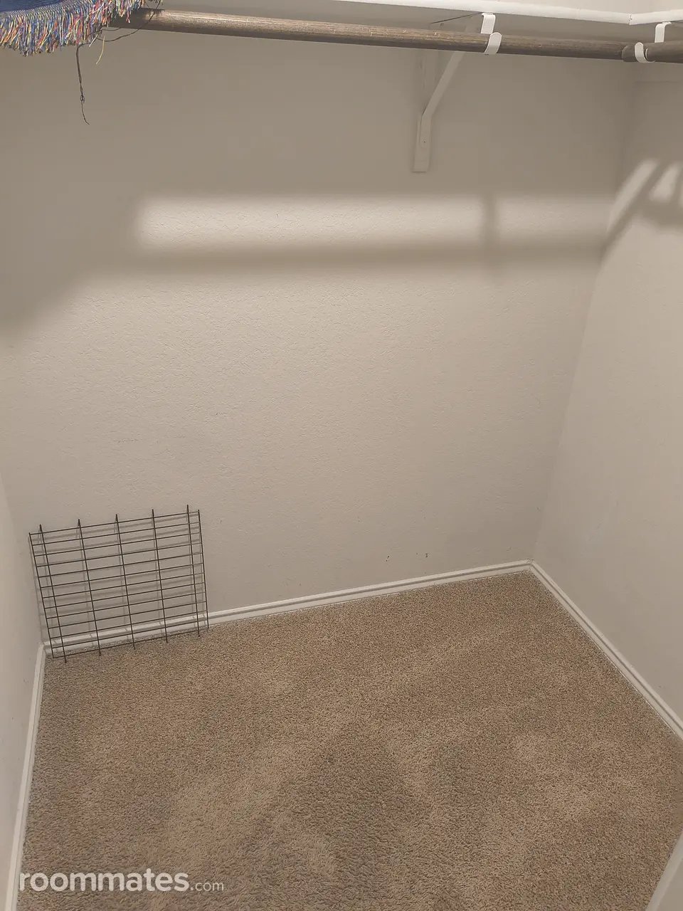 Profile photo 10 of 17