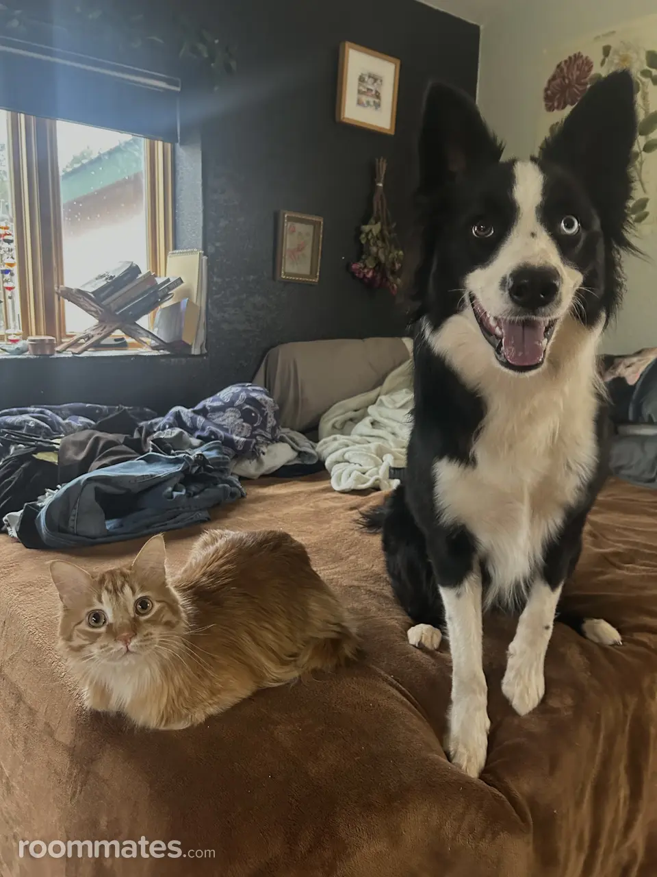 Profile photo 2 of 3