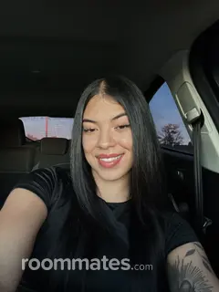 Roommate looking Chicago, IL, $1300