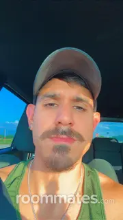 Roommate looking San Antonio, TX, $700