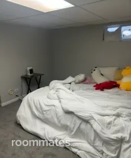 Room for rent in Lake Villa, IL $700, house