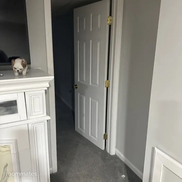 Room for rent in Lake Villa, IL $700, house