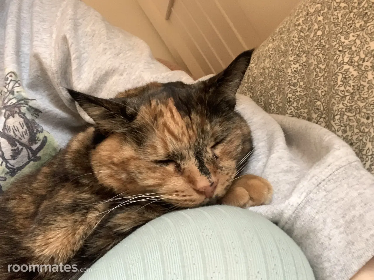 Profile photo 3 of 4