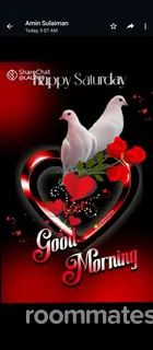 Roommate looking Saint Paul, MN, $1000