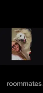 Roommate looking Prescott, WI, $600