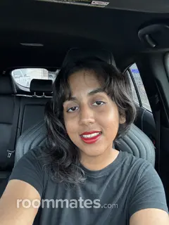 Roommate looking Sugar Land, TX, $900