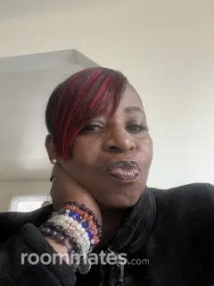 Roommate looking Madison Heights, MI, $600