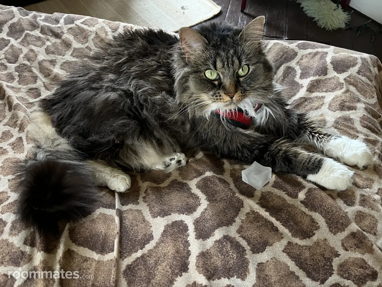 Profile photo 2 of 2