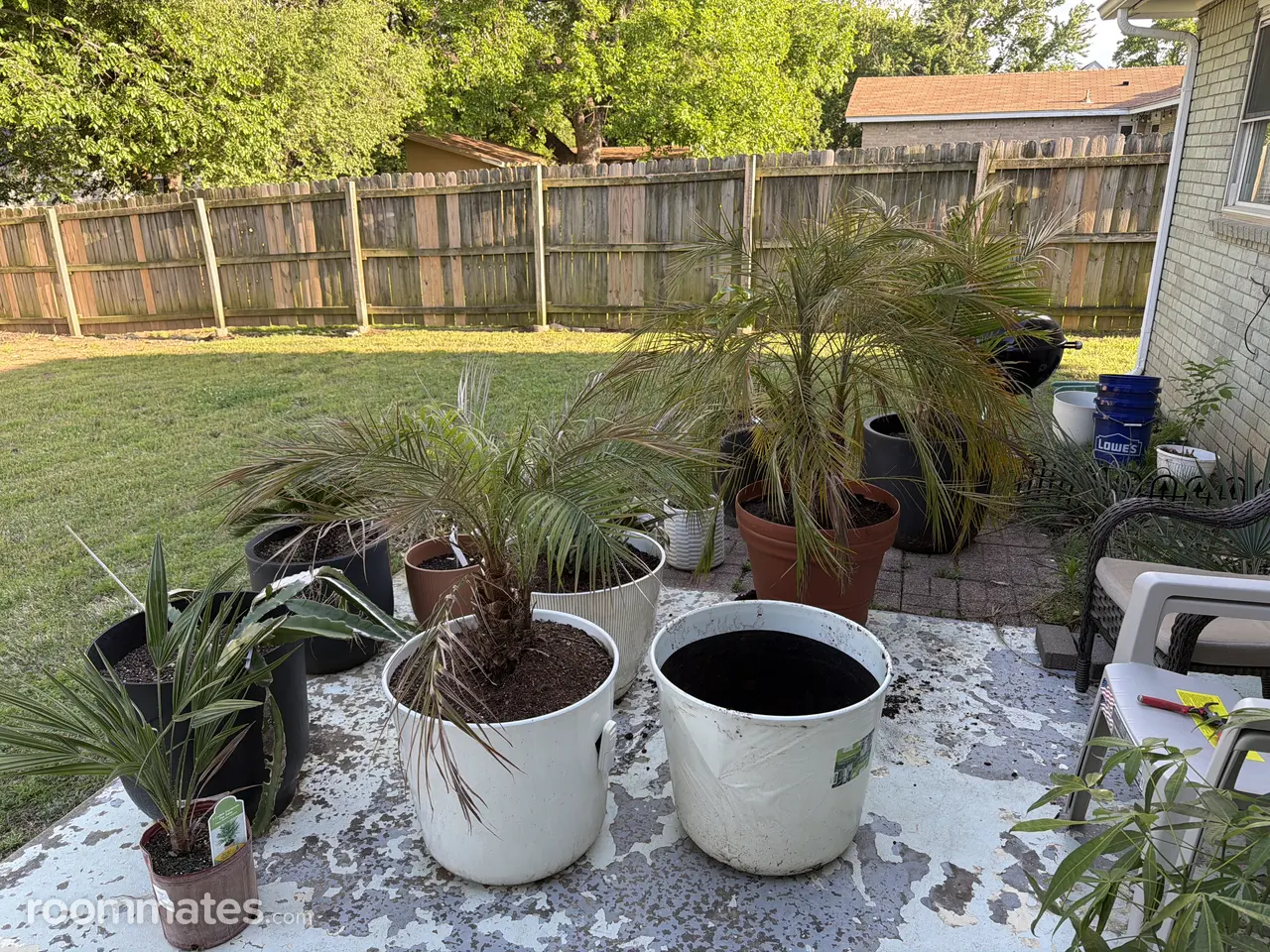 Profile photo 4 of 7