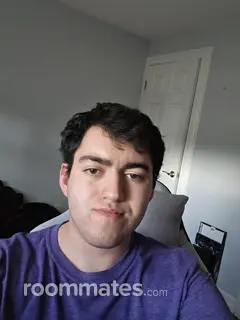 Roommate looking Puyallup, WA, $800