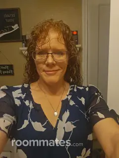 Roommate looking Pittsburgh, PA, $800