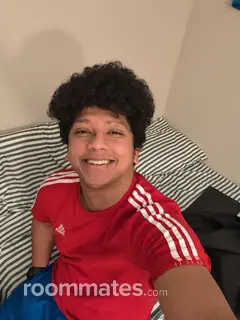 Roommate looking Cincinnati, OH, $800