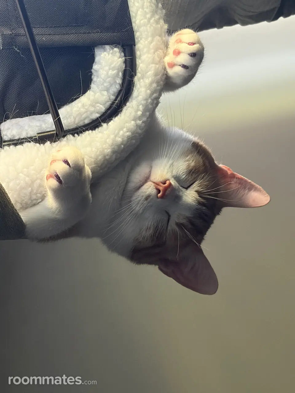 Profile photo 5 of 18