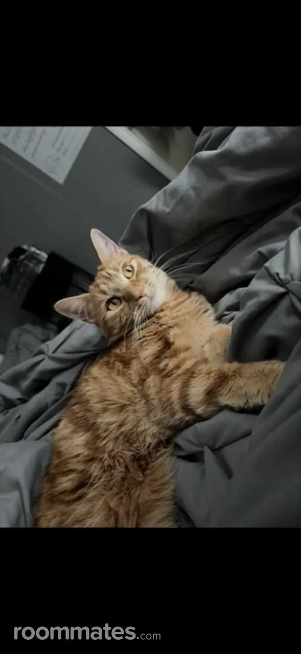 Profile photo 17 of 18