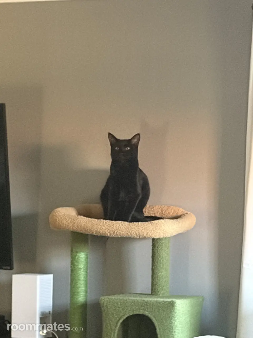 Profile photo 12 of 18