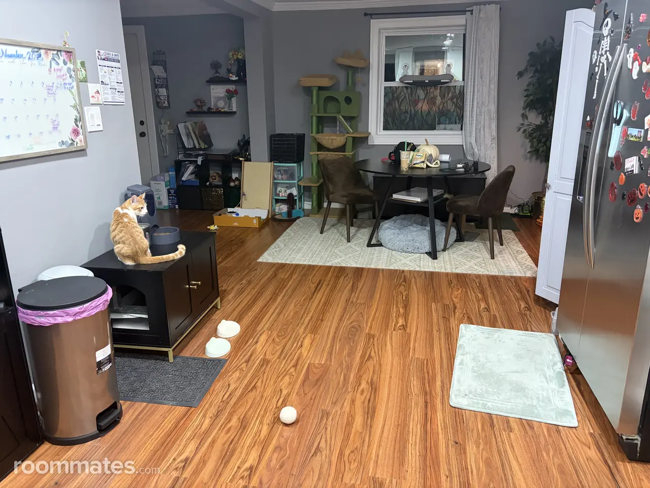 Profile photo 13 of 18