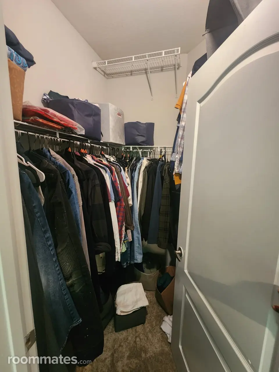 Profile photo 10 of 11